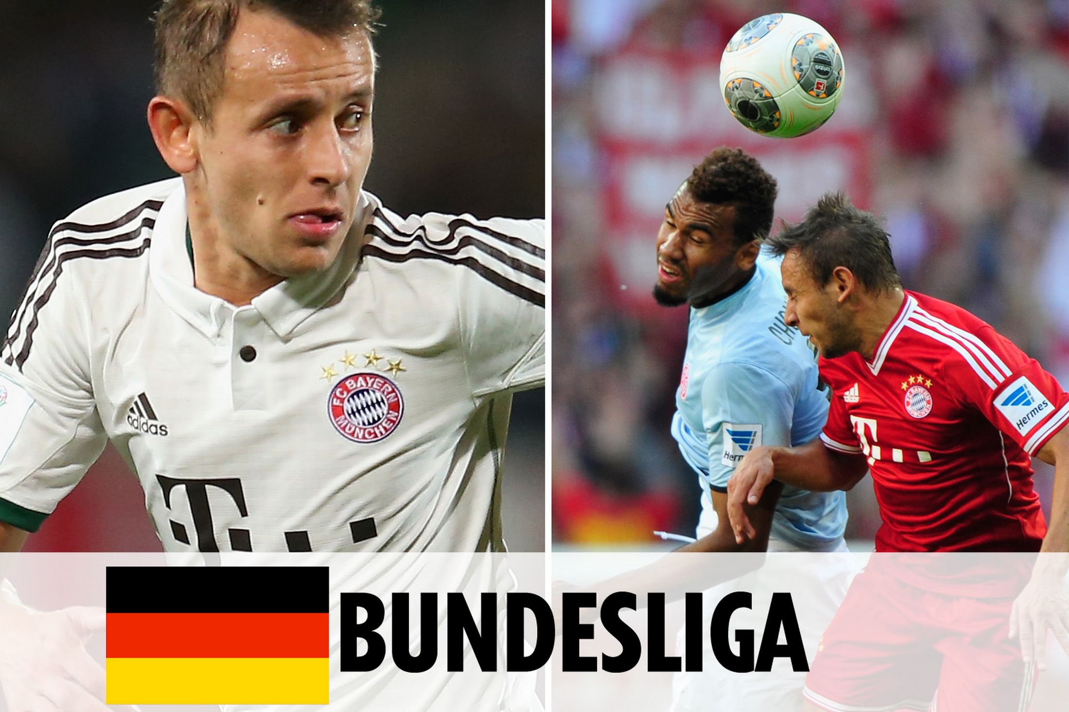 雷霆侧翼的 雷霆侧翼的