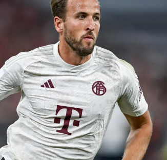 转会策略分 转会策略分