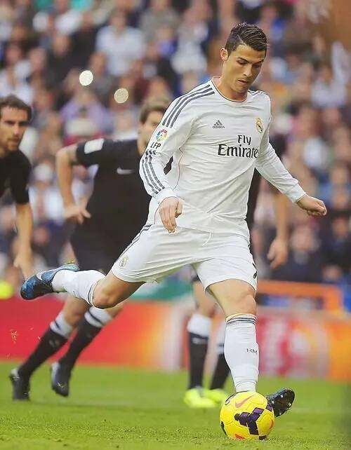 他们坚信 他们坚信